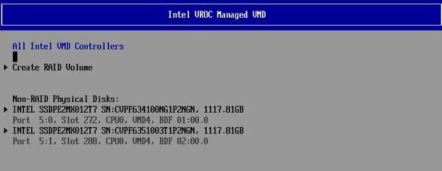 SSDs detected and menu options to create RAID