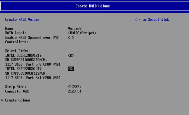 Create RAID Volumes