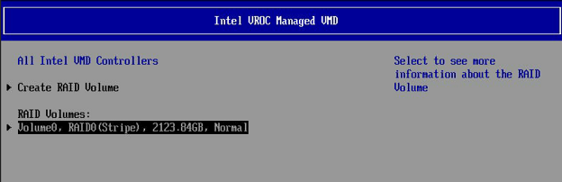 RAID volumes