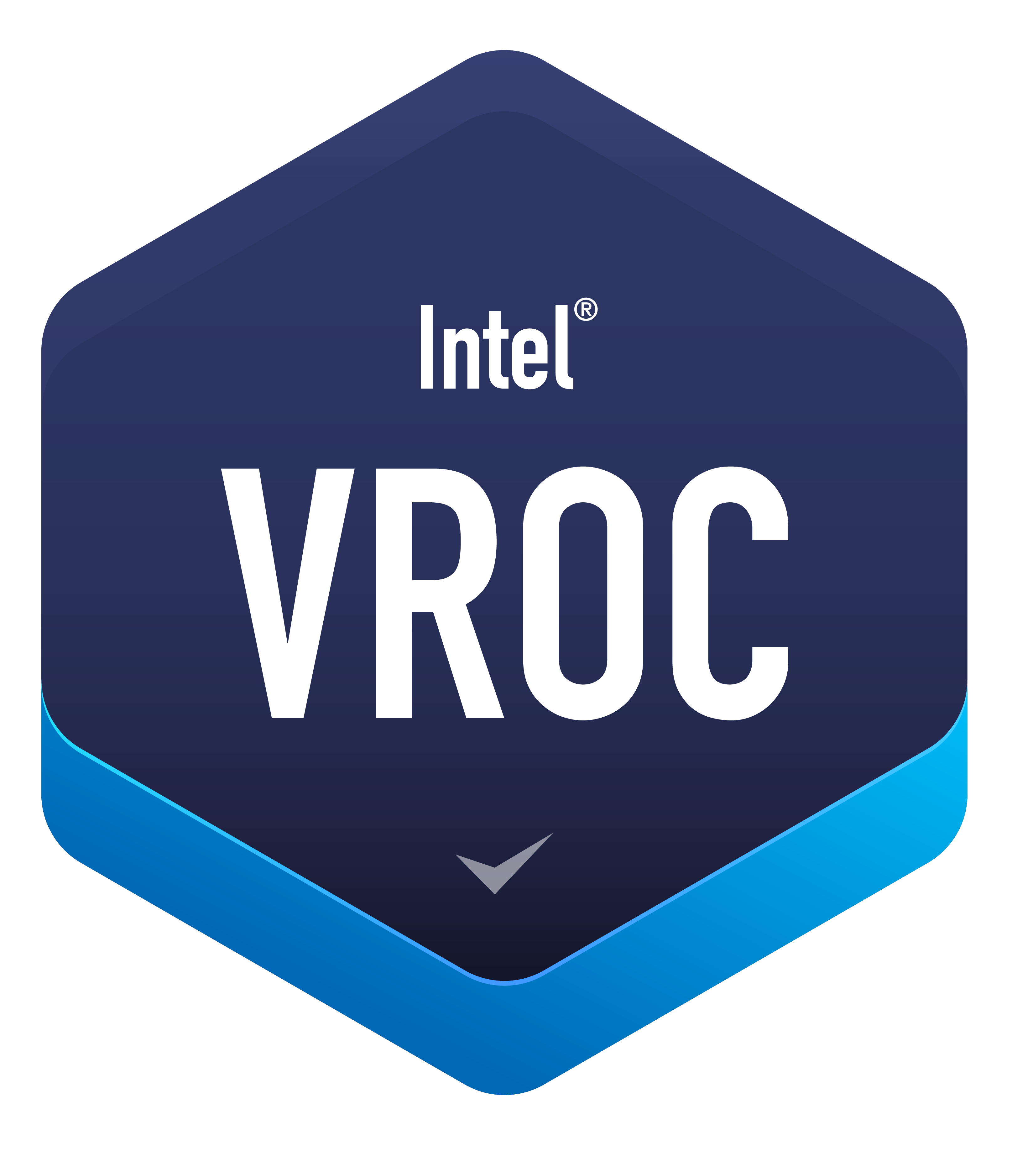 Intel VROC badge